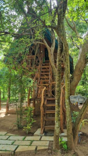 Ali Adi Eco Tree House
